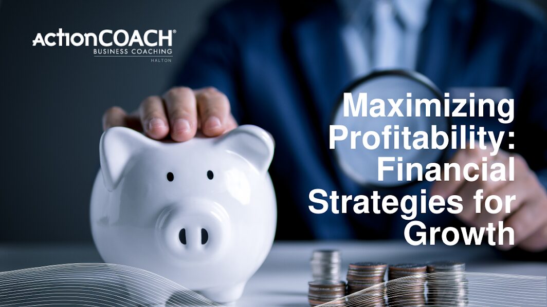 6-Steps to Maximize Business Profitability with Heer Pasha